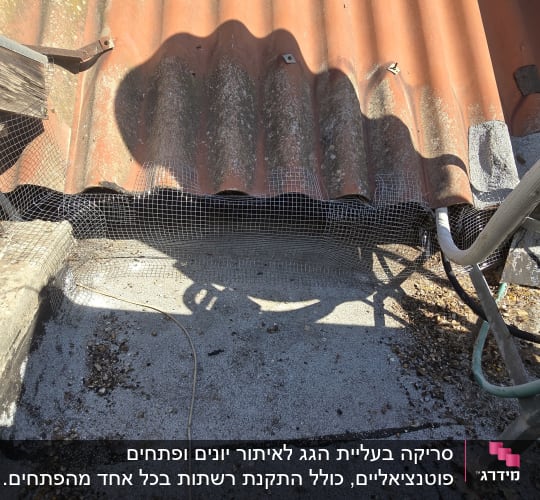 רשת מתכת על גג למניעת כניסת יונים